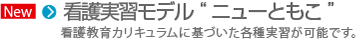 殿筋注射説明模型 TypeII:四分三分法・クラークの点・ホッホシュテッターの部位の３つに対応中殿筋までの深さも判定
